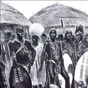 Picture Of Zulu Warriors With Shields